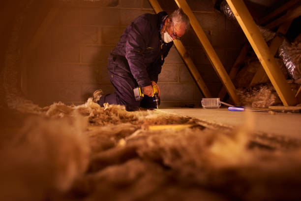 Best Basement Insulation  in Samsula Spruce Creek, FL